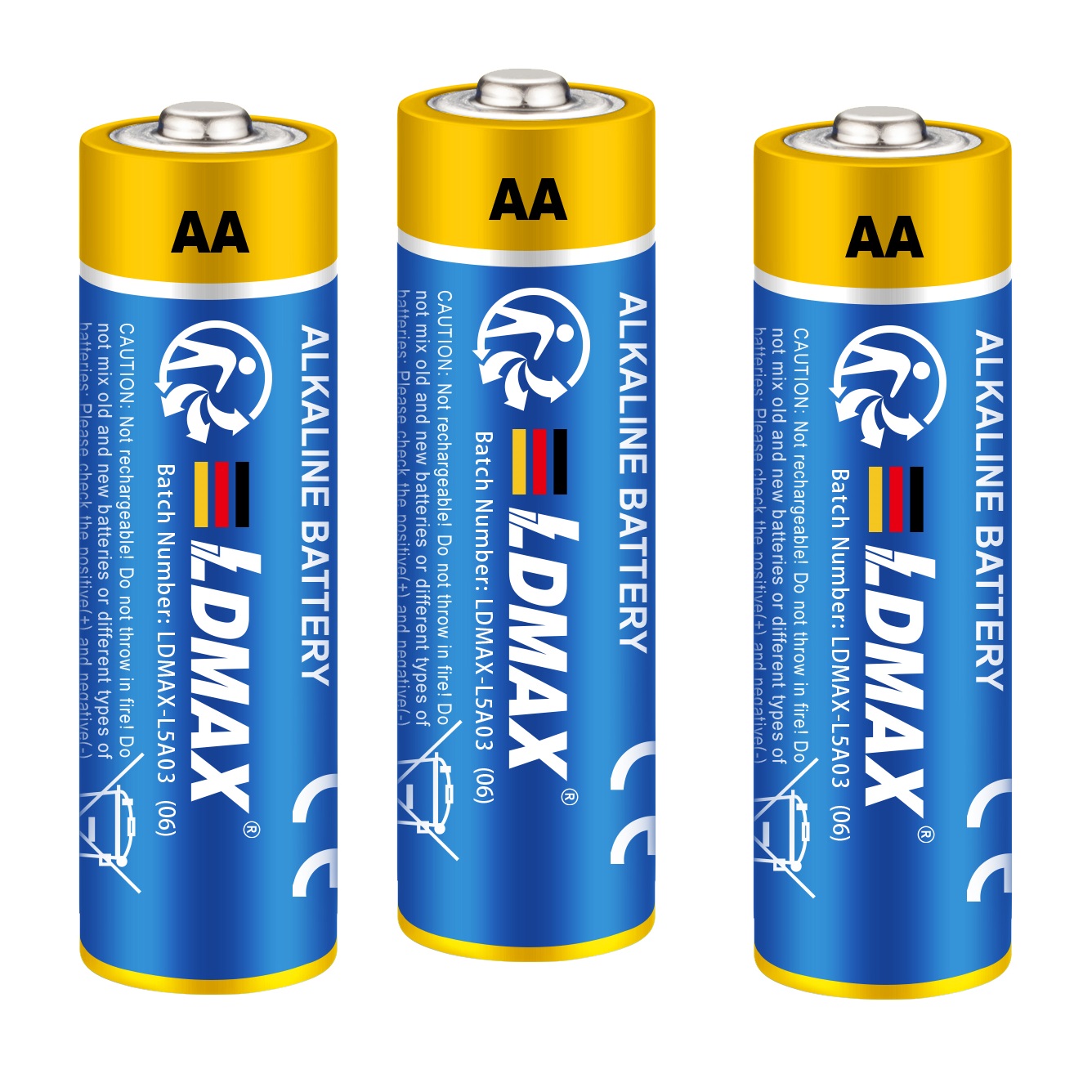 raymax alkaline battery