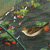 HDPE geëxtrudeerd vogelnet, UV-gestabiliseerd, vierkant gaas, anti-vogelnet voor boomgaard, fruitboom en gewasbescherming