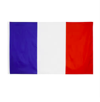 Vente en gros polyester drapeau national français 3x5 pieds drapeau tout pays 3x5FT drapeau France