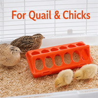 Abreuvoir automatique transparent en plastique pour volailles, poulets, cailles et poussins, usage intérieur, 12/18 trous