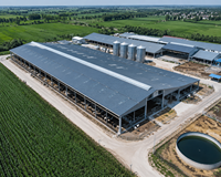 Bâtiment Agricole Préfabriqué en Structure Acier, Étable à Vaches, Porcherie, Abri pour Moutons/Bovins/Laitiers/Chèvres, Hangar Agricole, Design Moderne, Garantie 1 An