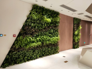 Tấm <span class=keywords><strong>Panel</strong></span> Nhân Tạo Tùy Chỉnh Trang Trí Trong Nhà Ngoài Trời Giá Gốc Nhà Máy Tấm Cây Nhân Tạo Tường Cỏ <span class=keywords><strong>Panel</strong></span> Cây Bồ Đề - Product Image 6