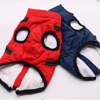 Combinaison imperméable pour chien, hiver, Noël, épaisse, chaude, quatre pattes, combinaison de neige rembourrée