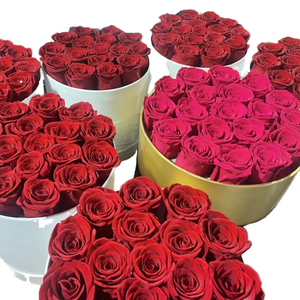 Rose éternelle naturelle unique, nouveau cadeau pour la Saint-Valentin pour maman, amie, ou petit ami pour toujours - Product Image 4