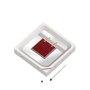 LED SMD Rouge <span class=keywords><strong>3030</strong></span> 0.5W 655-660nm 15-20LM à puce AlGaN pour la croissance des plantes avec service de conception d'éclairage et durée de vie de 50000H - Product Image 4