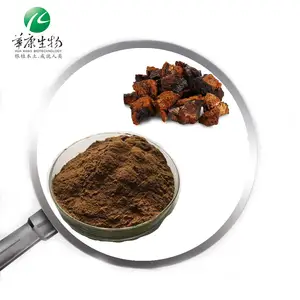 เห็ด Chaga ออร์แกนิก Bai Hua Rong สารสกัด 30% โพลีแซ็กคาไรด์ / 2% ทริเทอร์เพน / 5% โพลีฟีนอล