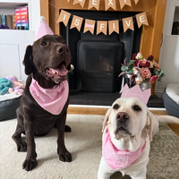 Lot de bandanas pour chiens OEM personnalisables avec logo, en coton, à enfiler, écharpes pour animaux de compagnie, 7 couleurs, franges pompons, vente en gros