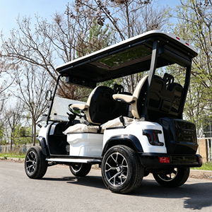 Voiturette de <span class=keywords><strong>golf</strong></span> électrique de luxe moderne 3-4 places avec moteur AC 48V, <span class=keywords><strong>prix</strong></span> de gros, vitesse maximale 30-40 km/h, certifiée CE - Product Image 6