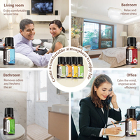 Huile Essentielle Pure 100% Naturelle et Biologique Personnalisée OEM Marque Blanche : Lavande, Gingembre, Arbre à Thé, Menthe Poivrée, Romarin, Rose, Citron, Orange