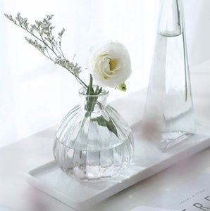 Vaso Creativo in Vetro con Scanalature per Piccoli Fiori - Product Image 1
