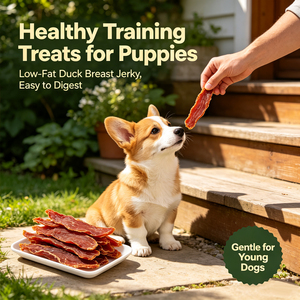 Viande séchée de poitrine de canard N4P pour chiens, disponible en gros et en OEM, friandises d'entraînement pour chiots à faible teneur en gras, favorise la santé dentaire - Product Image 2