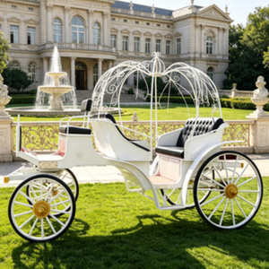 Chariot de mariage en forme de citrouille de haute qualité pour photos, excursions panoramiques, défilés de festivals et usage commercial, <span class=keywords><strong>prix</strong></span> abordable sur mesure - Product Image 6