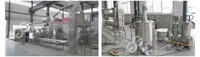 Ligne de production Gelgoog Machines Tahina Ligne complète de fabrication de beurre de cacahuète Machine à beurre de cacahuète de grande capacité