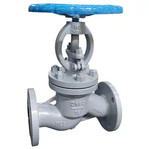 DN65 WCB Through way flange connection GB Globe valve