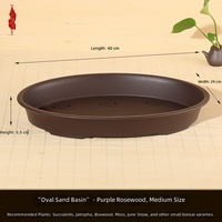 Pot de fleurs ovale peu profond en résine de grand calibre pour plantes succulentes, conteneur hydroponique non perforé pour jardin domestique et extérieur
