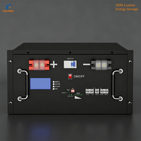 Armoire de stockage d'énergie sur rack 19 pouces personnalisée, boîtier en tôle ESS pour pack de batteries LiFePO4 51,2 V 100 Ah 200 Ah