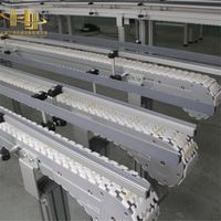 Trasportatore a Catena con Telaio in SUS304 e Listelli in Plastica, ad Alta Efficienza e Igienico, Pronto per il Lavaggio, per Linee di Imbottigliamento di Latte e Yogurt