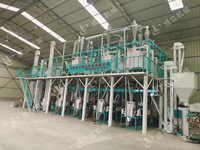 Machine à moudre le maïs de 50 tonnes par jour de l'Ouganda, ligne de transformation du maïs, machine à fabriquer de la farine, machine à moudre le maïs
