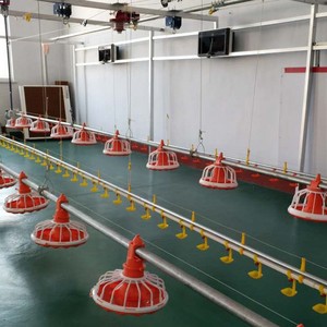 Trả lời rất nhanh chóng gà Feeder gia cầm trang trại tự động Gà Thịt cho ăn dòng gà hệ thống thức ăn - Product Image 4