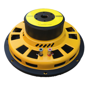 Caisson de basses 300w, livraison gratuite, 10 /12 pouces, puissance RMS, pour voiture avec grand cache-poussière plat, caisson de basses peu profondes, chine - Product Image 4