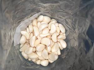 Nhà máy trắng Bóc Vỏ Tỏi tươi ajo alho ail hội chợ 1 kg/túi giá bán buôn xuất khẩu chất lượng trung Quốc Tỏi Đinh Hương - Product Image 2