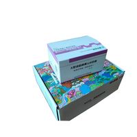 Chaussures de conception libre leader de l'industrie Boîte de papier en carton 300 Gsm avec gaufrage et stratification mate Type de dossier d'emballage sous blister