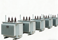 Transformateur toroïdal à trois phases immergé dans l'huile, faible bruit, 315 kVA - 1600 kVA, bobine cuivre/aluminium, équipement d'alimentation électrique, huile ondulée