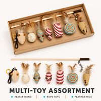Ensemble de jouets interactifs pour chat : baguette à plumes, souris en bois, balle en sisal, boîte cadeau – Idéal pour le jeu intérieur des chatons et des animaux de compagnie au quotidien