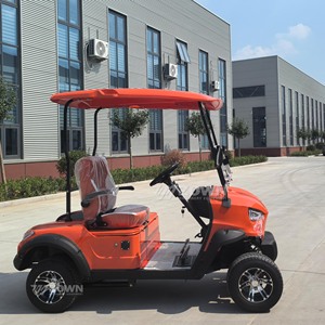 Carrito de Golf Eléctrico de 2 Plazas, con Batería de Litio, de Baja Velocidad, para Clubes y Zonas Turísticas - Product Image 2