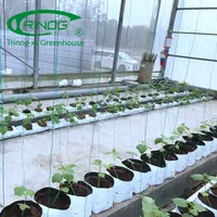 Trinog Rumah Kaca Atap Gotik, Perlengkapan Rumah Hijau Multispan Tinggi Talang untuk Pertanian Hidroponik