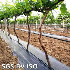 Organic Orchard Farm Weed Barrier With Anti UV ECO Friendly Weed Mat Fruits Planting Ground Cover Fabric