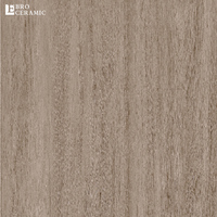 Carreaux de sol imitation bois de qualité supérieure, antidérapants, pour extérieur, épaisseur 2 cm, 60x60, 60x120