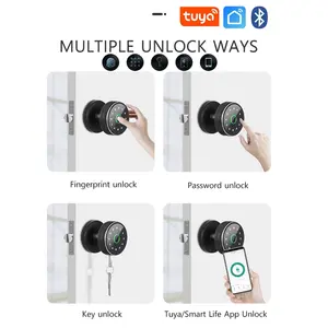 WAFU Security Smart Ball Door Lock Knob Remote Control With Fingerprint Recognition With Tuya Smart APP Bluetooth Keyless Lock