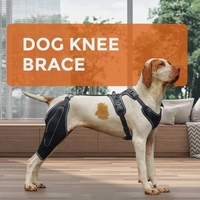 Attelle de genou réglable pour chien, pour lésions du LCA/CLC de la patte arrière, avec soutien enveloppant et attelle articulaire antidérapante pour rotule luxée