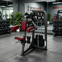 Appareil de musculation commercial à charge par poulie pour levée latérale, entraînement des épaules et des deltoïdes