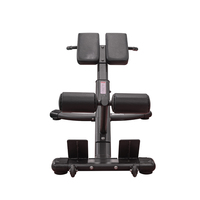 Chaise romaine d'entraînement pour la musculation, banc d'extension dorsale avec structure métallique robuste et haute capacité de charge