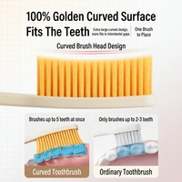 YOUNGELF Brosse à dents à tête longue en nylon ultra-fin, brosse étendue en plastique, pack familial pour adultes, vente en gros à domicile, OEM, logo personnalisé