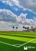 Gazon artificiel PE personnalisé de 20 mm de hauteur de pile pour salle de sport, piste de course intérieure, revêtement de sol synthétique pour football et hôtel