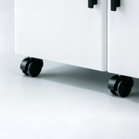 Armoire de rangement mobile de laboratoire à double porte entièrement en acier avec roulettes et grande capacité pour le stockage d'équipements fermés