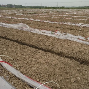FRP Fiberglass Reinforced <b>Rods</b> for Greenhouse Shed - Product Image 3