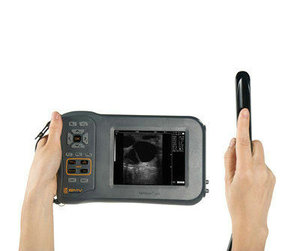 BMV Farmscan L60 Échographe vétérinaire portable pour animaux de grande taille, facile à utiliser, chiens, porcs, moutons, bovins, équidés - Product Image 4