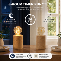 Lámpara de Mesa LED con Base y Globo de Vidrio Ámbar, Funciona con Batería, Luz de Noche para Decoración de Dormitorio