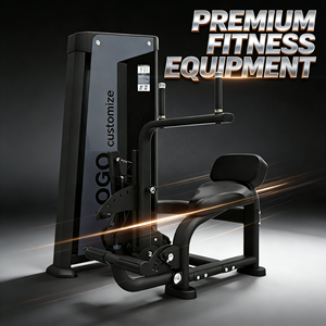 Коммерческий профессиональный тренажер для фитнеса: станок для разгибания/сгибания спины и пресса с отягощениями - Product Image 1