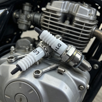 Bougie d'allumage en iridium haute performance pour motos et tondeuses à gazon, accessoires fabriqués en Chine