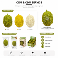 Jouet dentaire pour chien en forme de durian, prêt à l'emploi, avec une texture TPR douce et ferme, pour les chiens las et le jeu quotidien des molaires