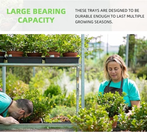 Nft kênh dọc hệ thống thủy canh dọc phát triển bảng giá hydroponics hệ thống dọc trang trại container - Product Image 6