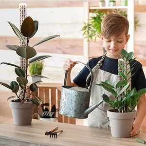 Poteau de mousse en plastique transparent pour plantes grimpantes d'intérieur, support de croissance pour plantes, piquet de mousse en coco, totem de mousse, piquet transparent pour plantes rampantes - Product Image 6
