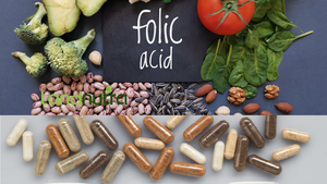 מפעל מכירת ויטמין b5 אבקת חומצה פולית ליפוזומלית ויטמין b9 - Product Image 4