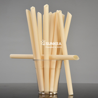 PHA Paille en fibre de canne à sucre pailles dégradables domestiques pailles compostables à base de plantes
