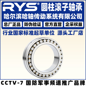 Rodamientos de Rodillos Cilíndricos RYS NN 3009 3010 3011 3012 K W33 P5 de Precisión para Uso Industrial - Product Image 4